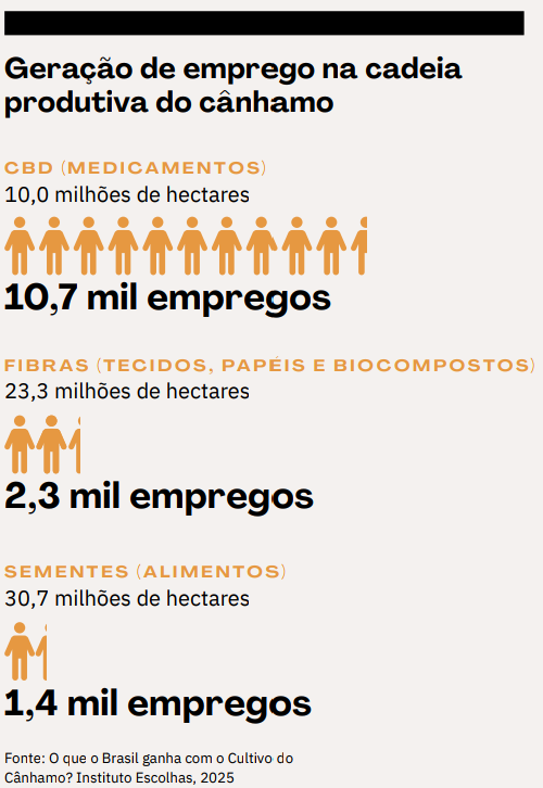 Geração de emprego na cadeia produtiva do canhamo
