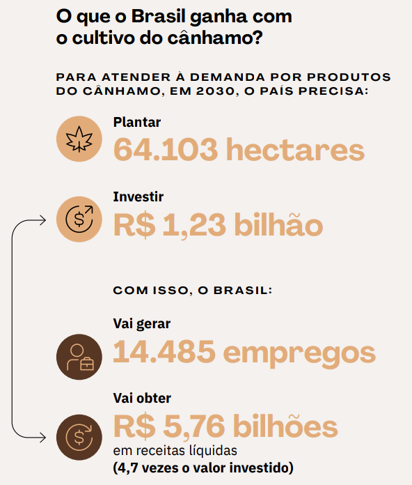 O-que-o-Brasil-ganha-com-o-cultivo-do-canhamo